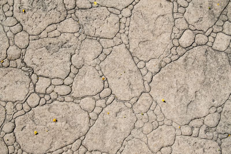Decorative Concrete Repair in Fort Lauderdale, FL