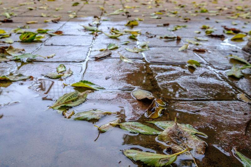 Decorative Concrete Repair in Tampa, FL
