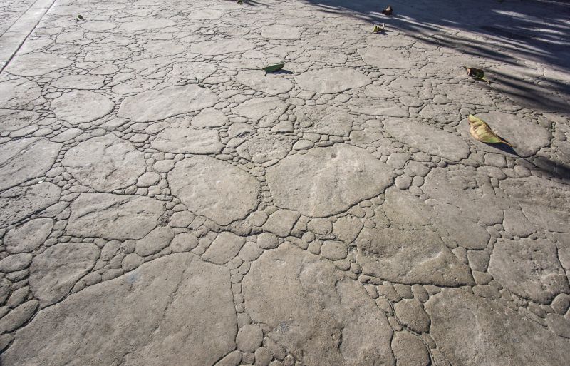 Decorative Concrete Repair in Loveland, CO