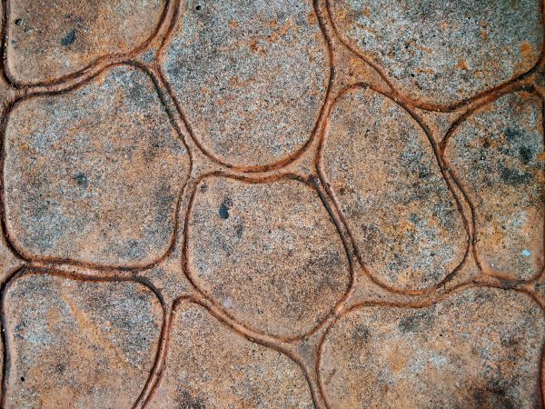 Stained Concrete Service - Stained Concrete Service Fort Worth, Texas